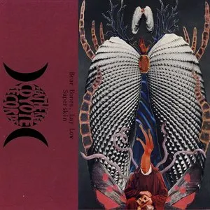 Pochette de Bear Bones Lay Low / Superskin de Bear Bones, Lay Low