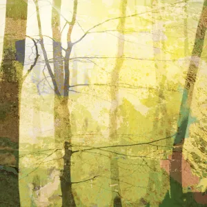 Pochette de Hind de Sebastian Mullaert