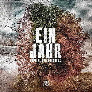 Pochette de Ein Jahr de Capital Bra