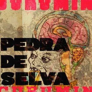 Pochette de Pedra de Selva de Curumin