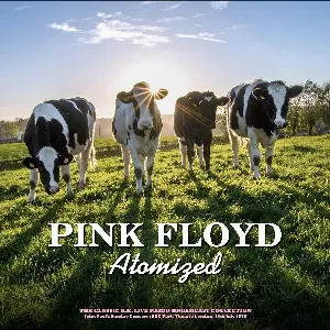 Pochette de BBC Radio Broadcasts London 1969 de Pink Floyd
