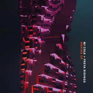 Pochette de Waking Up de Freya Ridings