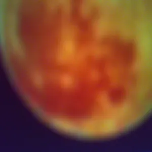 Pochette de Der Mond de Ueda Takayasu