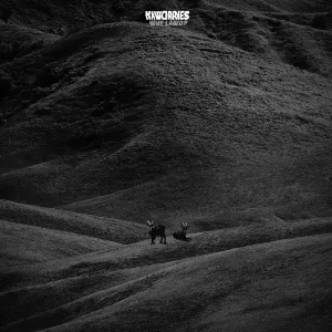 Pochette de FromHere de NxWorries