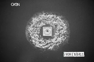 Pochette de Smoke'n Bass de C Y G N