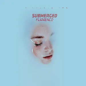 Pochette de Submerged Flamenco de Jazz Liberatorz