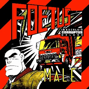 Pochette de Male de Foetus