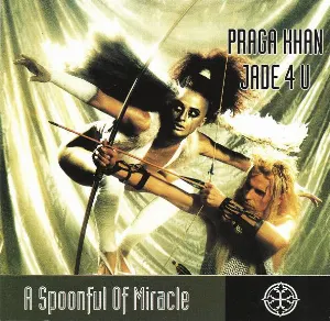 Pochette A Spoonful of Miracle