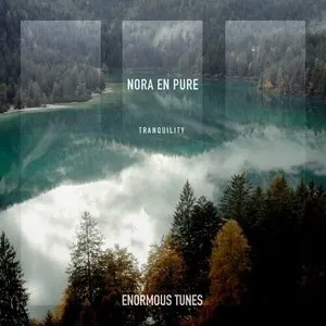 Pochette de Tranquility de Nora en Pure