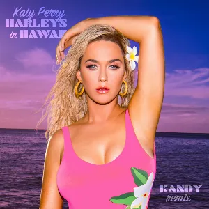 Pochette Harleys in Hawaii (KANDY remix)