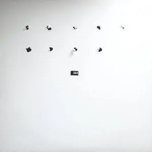 Pochette de FatCat Split Series #9 de DAT Politics