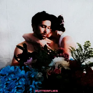 Pochette de BUTTERFLIES de MAX