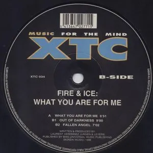 Pochette de What You Are For Me de Fire & Ice