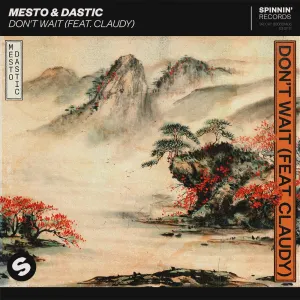 Pochette de Don’t Wait de Mesto