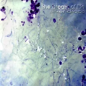 Pochette de Silver Drops de The Breath of Life