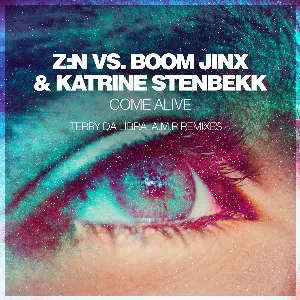 Pochette de Come Alive (Terry Da Libra, A.M.R Remixes) de Boom Jinx