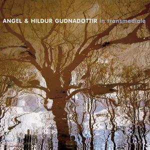 Pochette de In Transmediale de Hildur Guðnadóttir