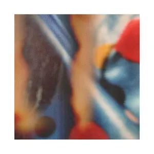 Pochette de Delusions de Rolando Simmons