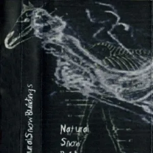 Pochette de Two Sides of a Horse de Natural Snow Buildings