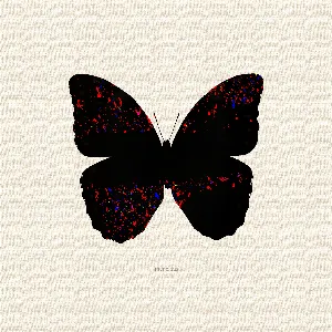 Pochette de 形と会 de Yukiga Futte Uresii