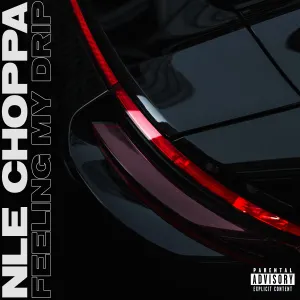 Pochette de Feeling My Drip de NLE Choppa