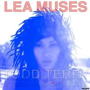 Pochette de Feel So Real de Todd Terry