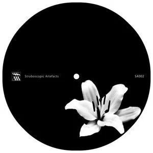 Pochette de Fixing The Error / Link de Xhin