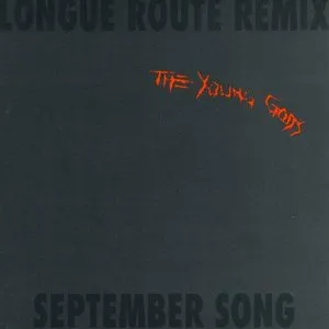 Pochette de Longue route de The Young Gods