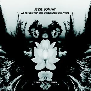 Pochette de We Breathe the Stars Through Each Other de Jesse Somfay