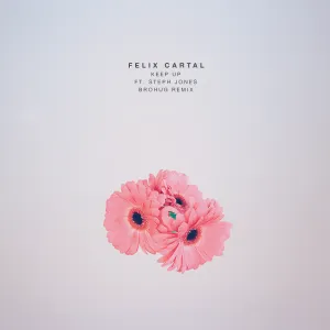 Pochette de Keep Up (Brohug remix) de Felix Cartal