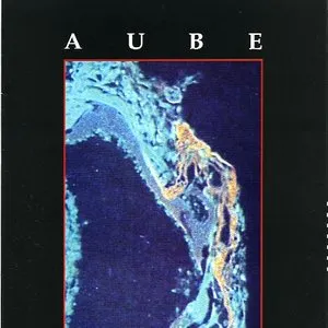 Pochette de Fast Tumbling Blaze de Aube