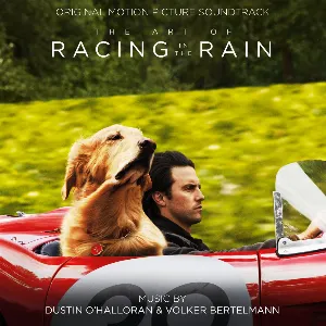 Pochette The Art of Racing in the Rain