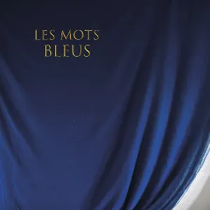 Pochette de Les Mots Bleus de Johan Papaconstantino