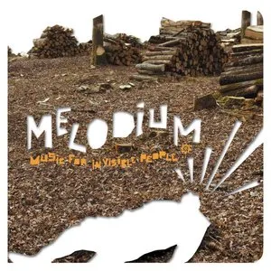 Pochette de Music for Invisible People de melodium