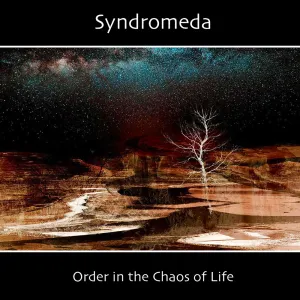 Pochette de Order in the Chaos of Life de Syndromeda