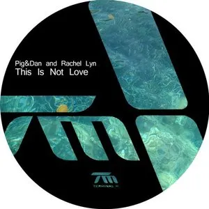 Pochette de This Is Not Love de Pig&Dan