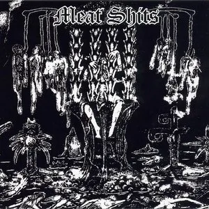 Pochette de The Second Degree of Torture de Meat Shits