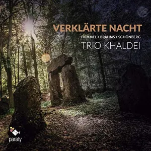 Pochette de Verklärte Nacht de Pražský komorní orchestr - Pavel Haas - Arnold Schönberg - Jiří Bělohlávek