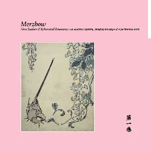 Pochette de Nine Studies of Ephemeral Resonance, Volume 1 de Merzbow