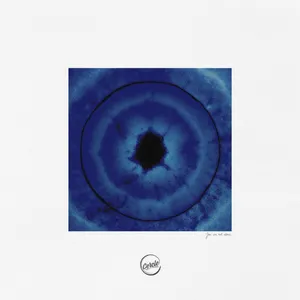 Pochette de You Are Not Alone de Vitalic