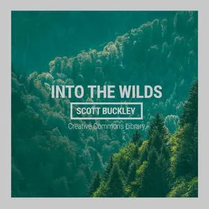 Pochette de Into The Wilds de Scott Buckley