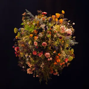 Pochette de Daoko Live Unplugged in Sogetsu Hall de Daoko