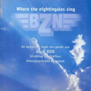 Pochette de Where The Nightingales Sing de BZN
