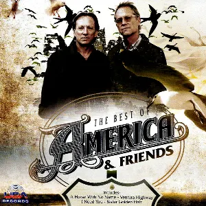 Pochette The Best of America & Friends