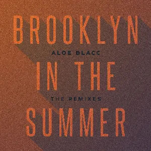 Pochette Brooklyn in the Summer: The Remixes