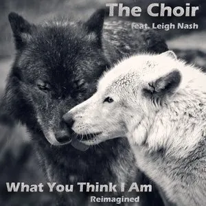 Pochette de What You Think I Am (Reimagined) de The Choir