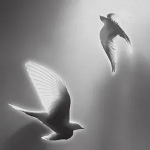 Pochette de Doves, '25 on Blank Canvas de Hindia