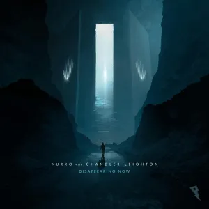Pochette de Disappearing Now de NURKO