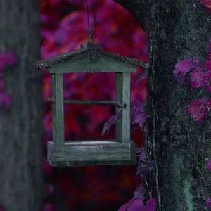 Pochette de Steamroom 40 de Jim O’Rourke