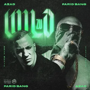Pochette de Zu Wild de Farid Bang